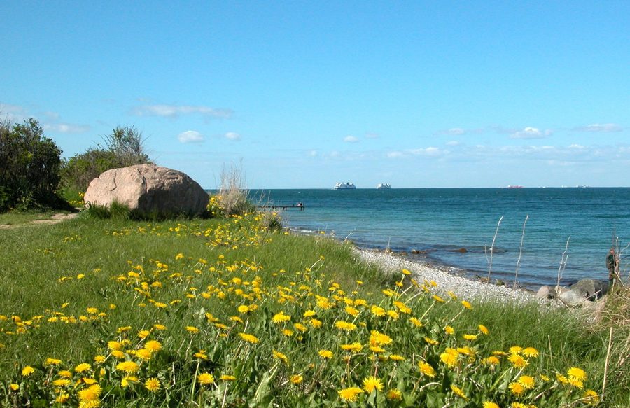 North beach of Fehmarn near Marienleuchte with ferry ships on the horizon