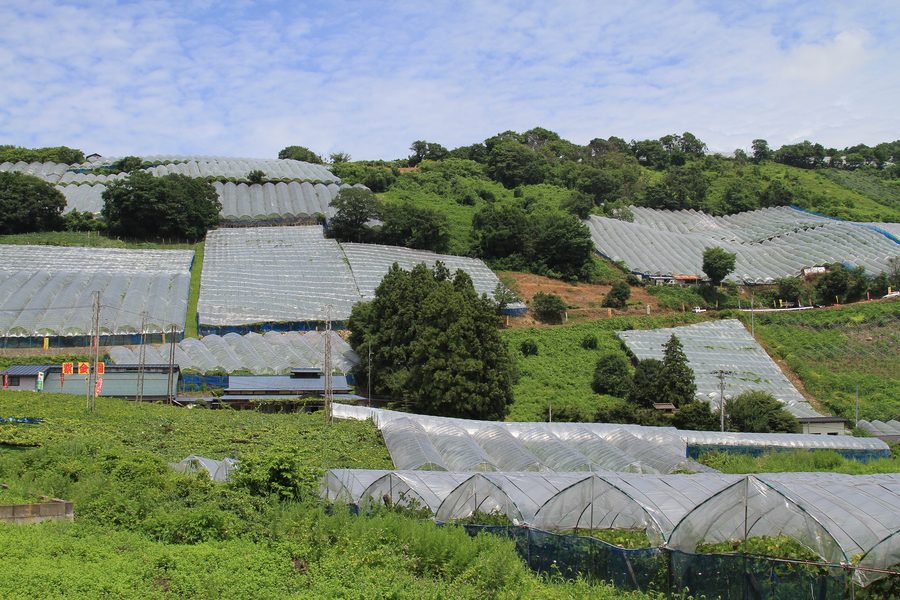 Rural landscape near Akayu in Nan'yō, Yamagata Prefecture