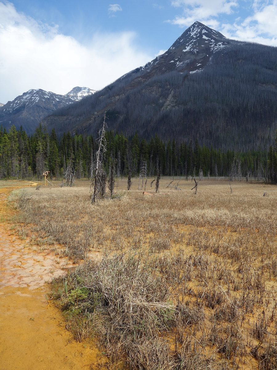 Paint Pots mineral springs in Kootenay National Park