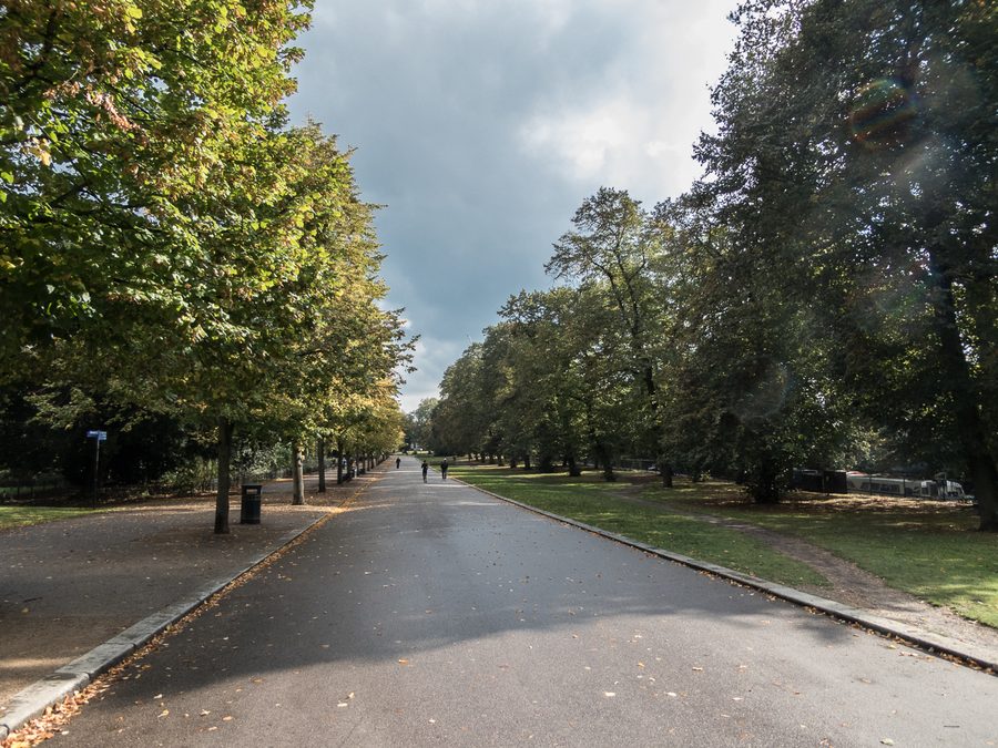 Tree-lined avenue in Victoria Park in Hackney, London