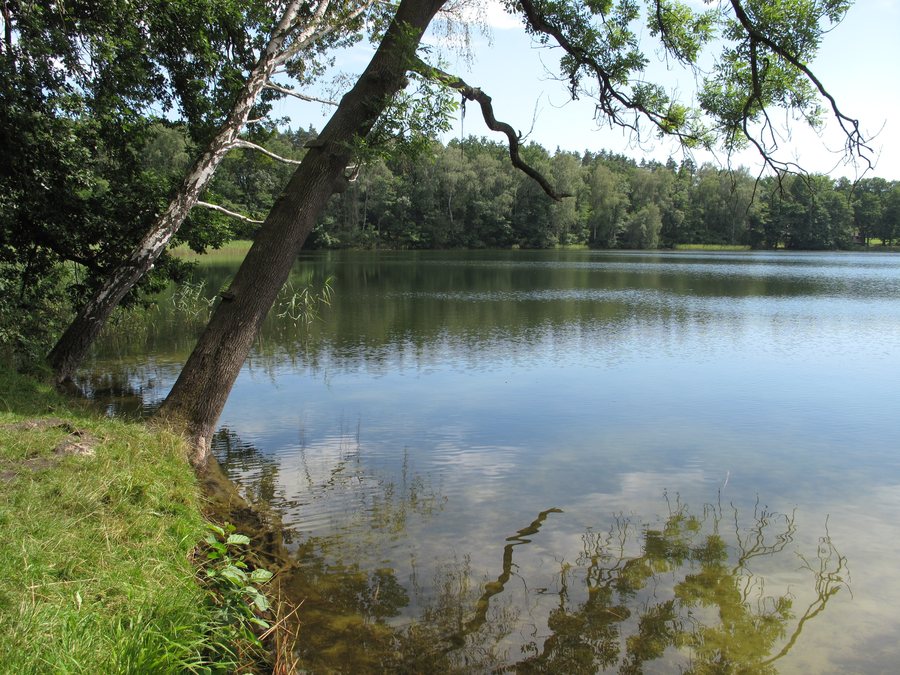 File:Dolgensee (Märkische Höhe) 01.jpg