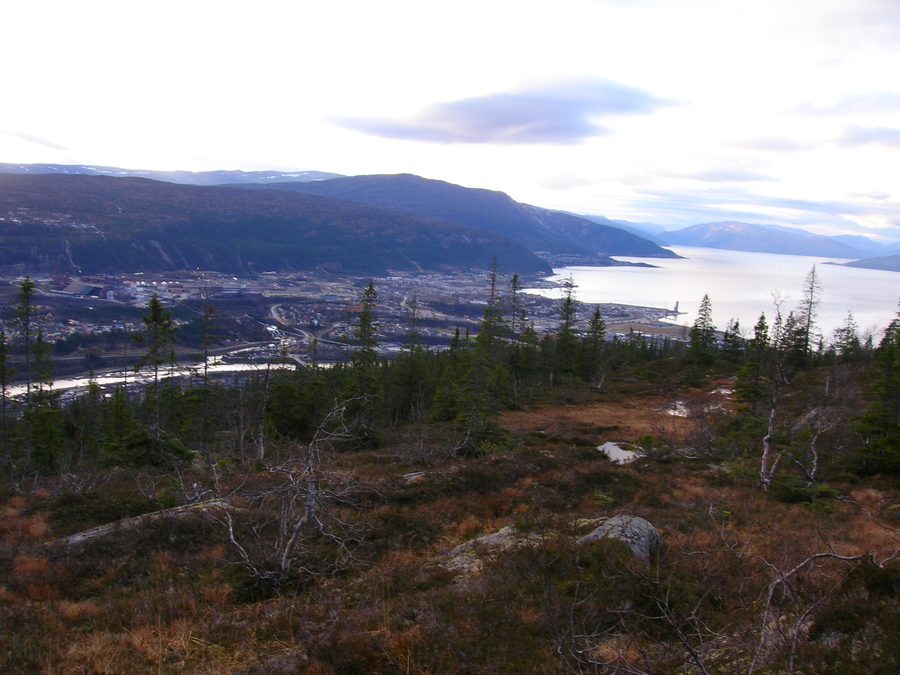 Mo i Rana and the Ranfjord, seen from Kvitbergan in Selfors
