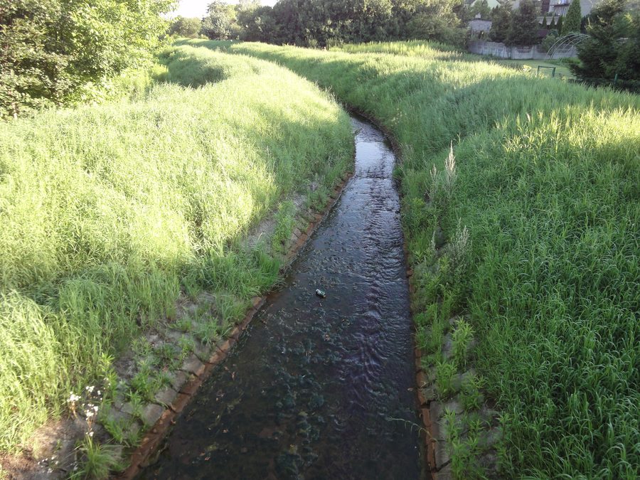 The tributary of the Welonka River joining the Brynica River near Wojkowice