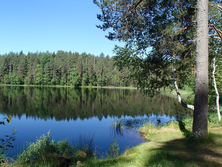 Lake Suķieris in Ērģeme parish, Latvia