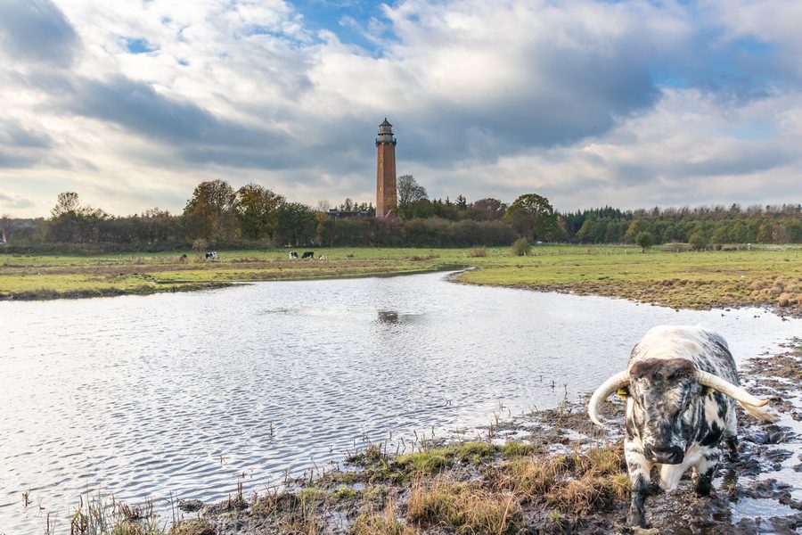Neuland lighthouse on the Baltic Sea coast near Behrensdorf