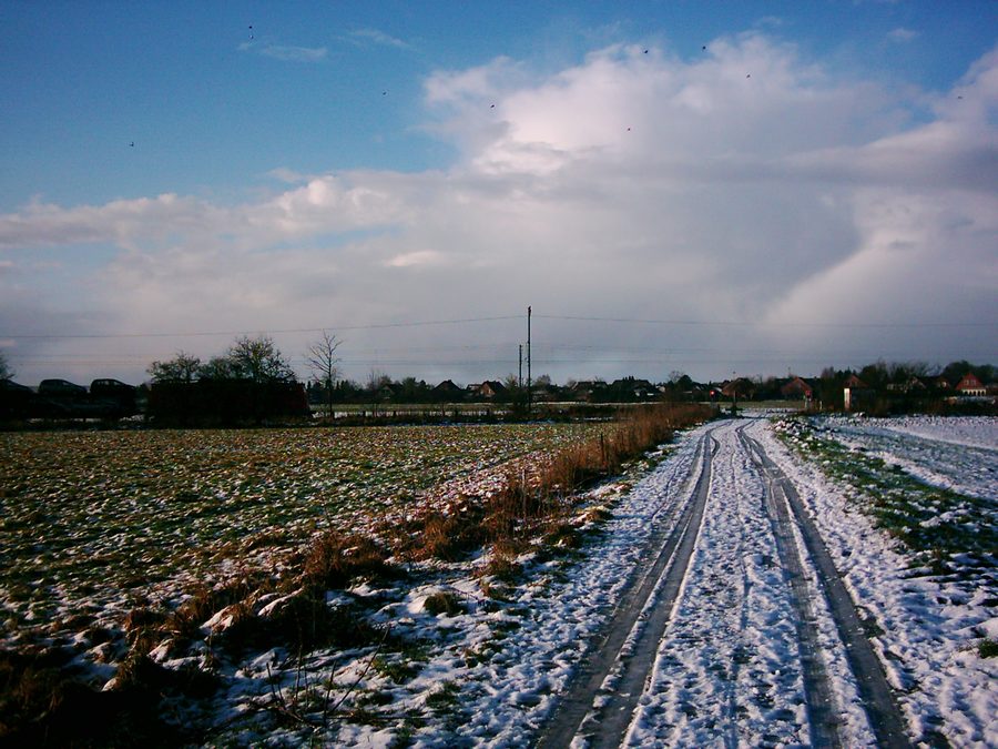 Field path in Loxstedt in winter
