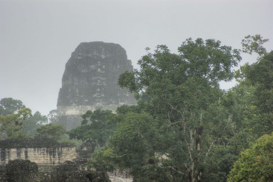 Tempel V der Maya-Stätte Tikal im Regenwald von Petén, Guatemala
