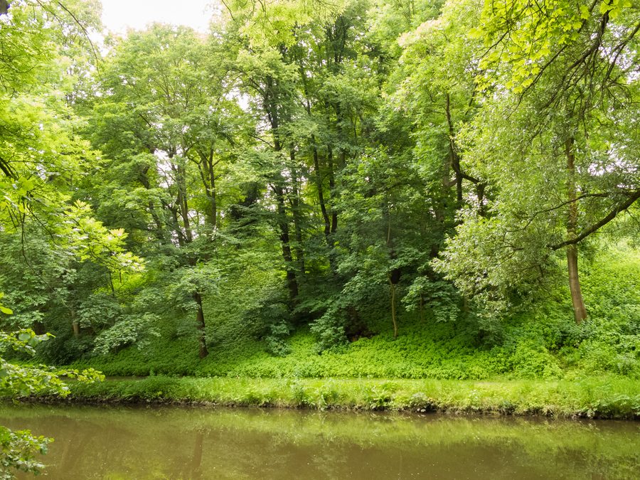 The Oker at Kreißberg in Braunschweig, surrounded by green landscape