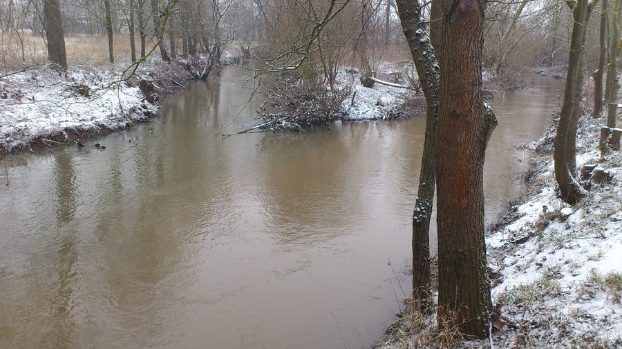 Confluence of the Milz with the Fränkische Saale