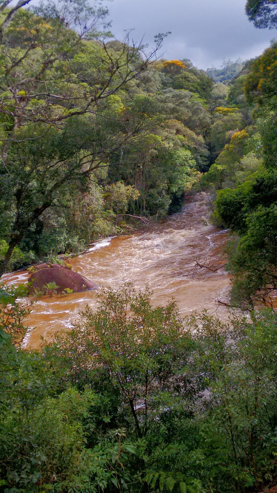 Rio Juquiá, located in the municipality of Juquitiba, São Paulo, during the rainy season