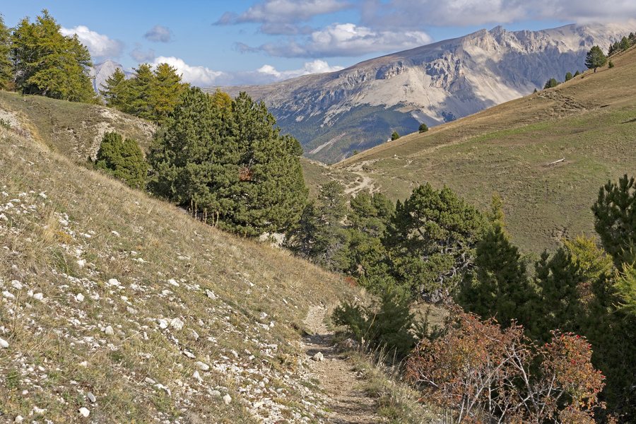 File:Vers le col de Lauteret (Aspres-sur-Buëch, Hautes-Alpes, France) DSC01893.jpg