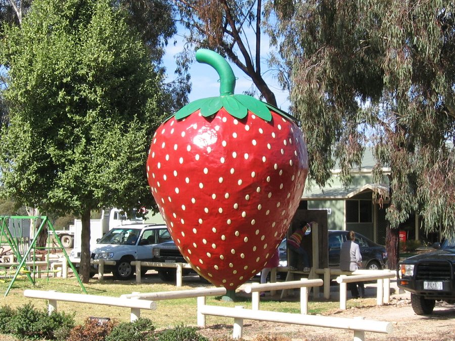 The Big Strawberry in Koonoomoo, Victoria