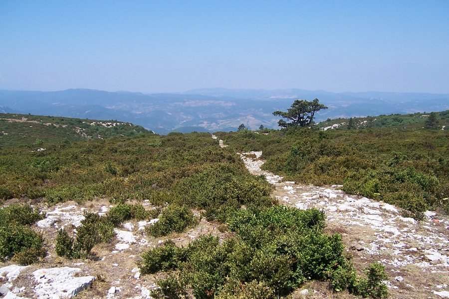 File:France - Aude - Tuchan - Montagne de Tauch.jpg
