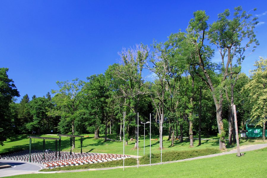 Historischer Kurpark in Jaworze mit alten Bäumen