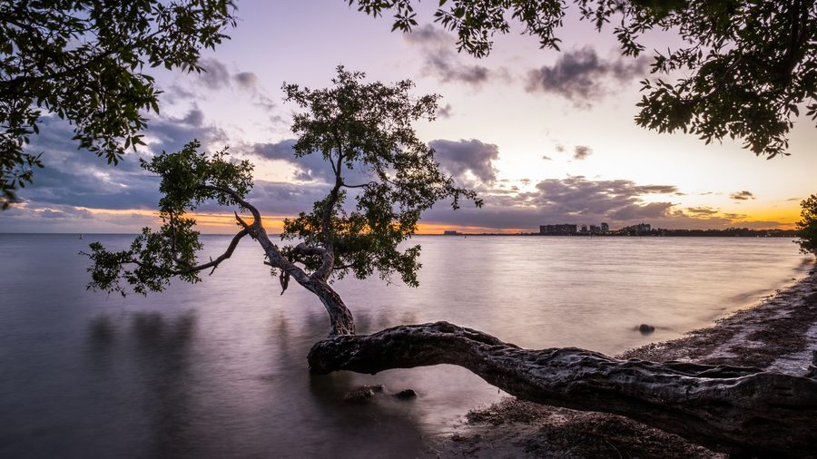 Coastal landscape on Key Biscayne with beach, sea, trees and sunset sky