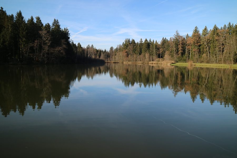 Wundschuher Teich mit Blickrichtung Nordwesten