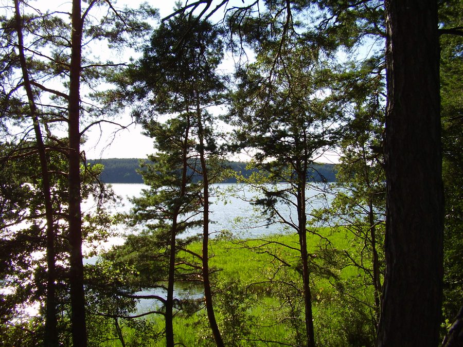 Blick auf den Kośno-See bei Olsztyn in der Woiwodschaft Ermland-Masuren
