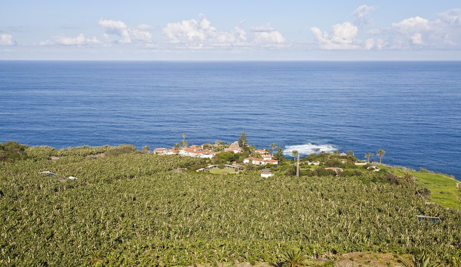File:Vista desde el Mirador de San Pedro, Los Realejos, Tenerife, España, 2012-12-13, DD 02.jpg