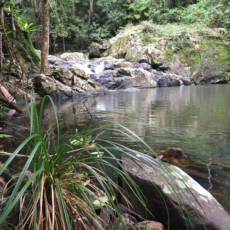 Lower Gwongoorool Rock Pools on the Nerang River in Springbrook National Park in the Gold Coast hinterland