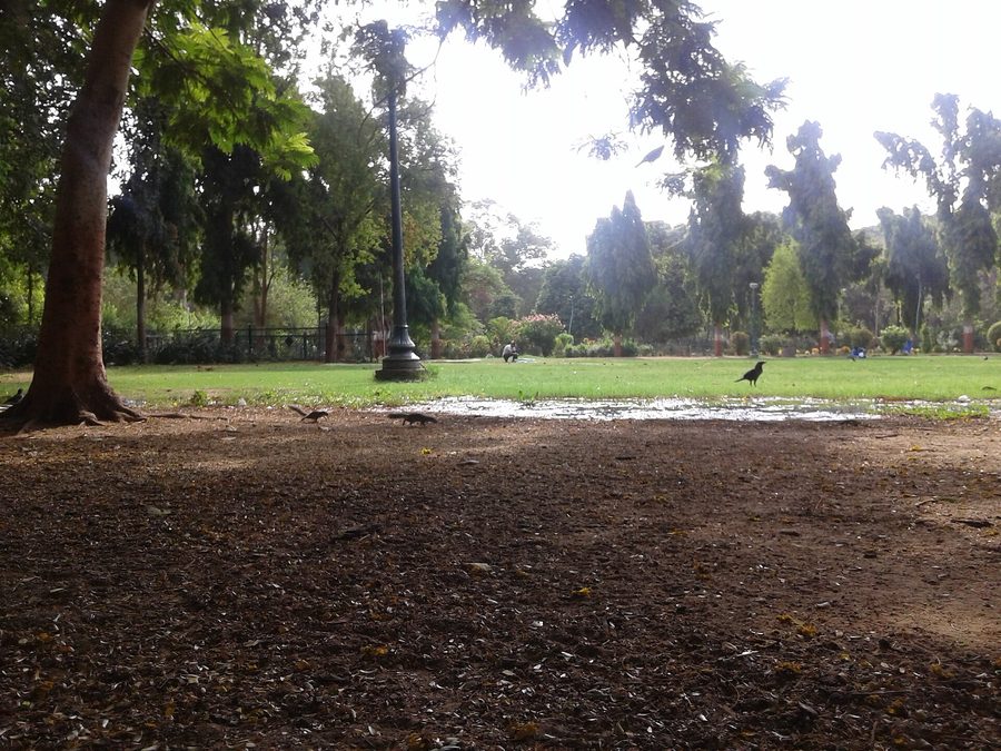 Sayaji Baug, also known as Kamati Baug, in Vadodara