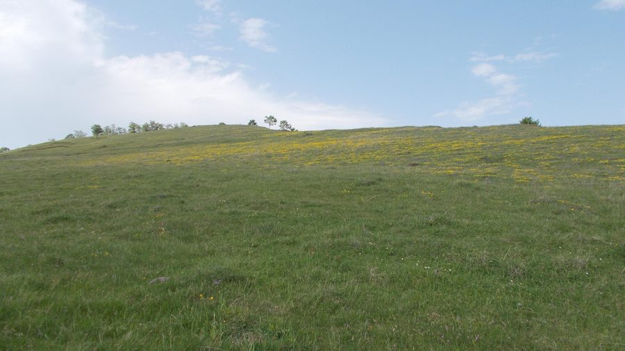 Hațeg Country Dinosaurs Geopark in Romania