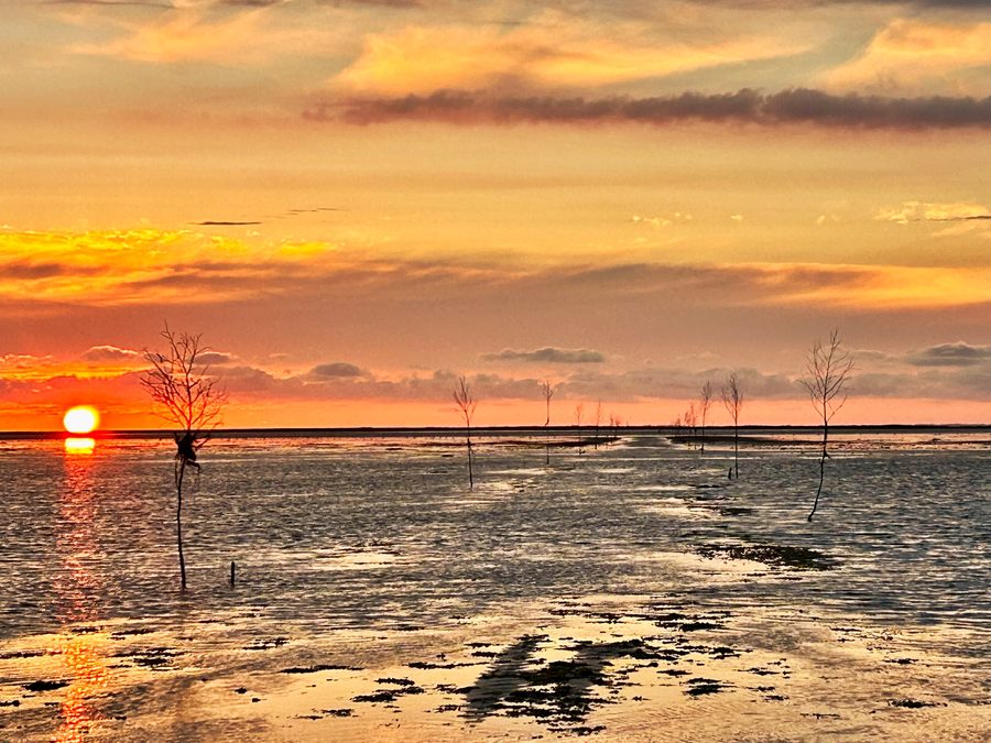 Sunset over the Danish Wadden Sea