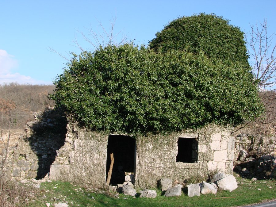 File:Gizdavac-Prugovo 0204 2010 - panoramio.jpg