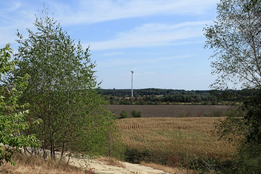 View from Sandberg to Surwold’s Forest on Neubörgerstraße in Surwold
