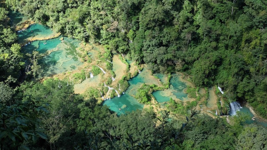 Türkisfarbene Naturbecken von Semuc Champey in der grünen Vegetation Guatemalas