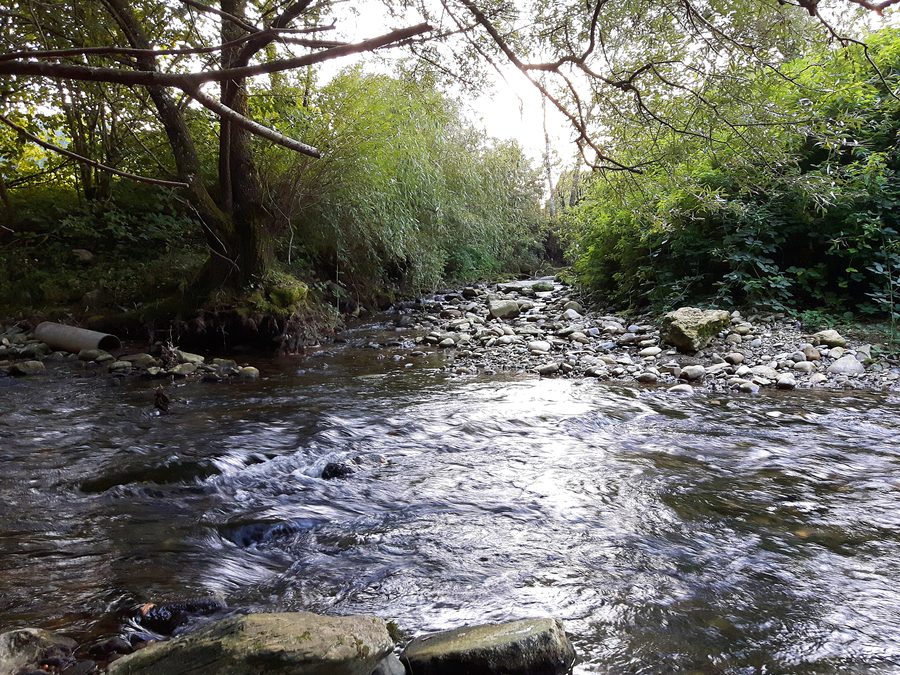Mouth of the Rummelbach into the Reppisch