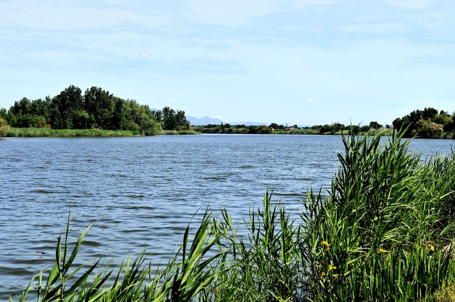 File:Las Herencias (2024) 14.jpg
