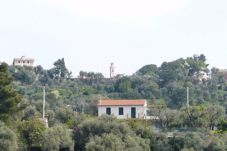 San Pantaleo, Zoagli, Liguria, Italy