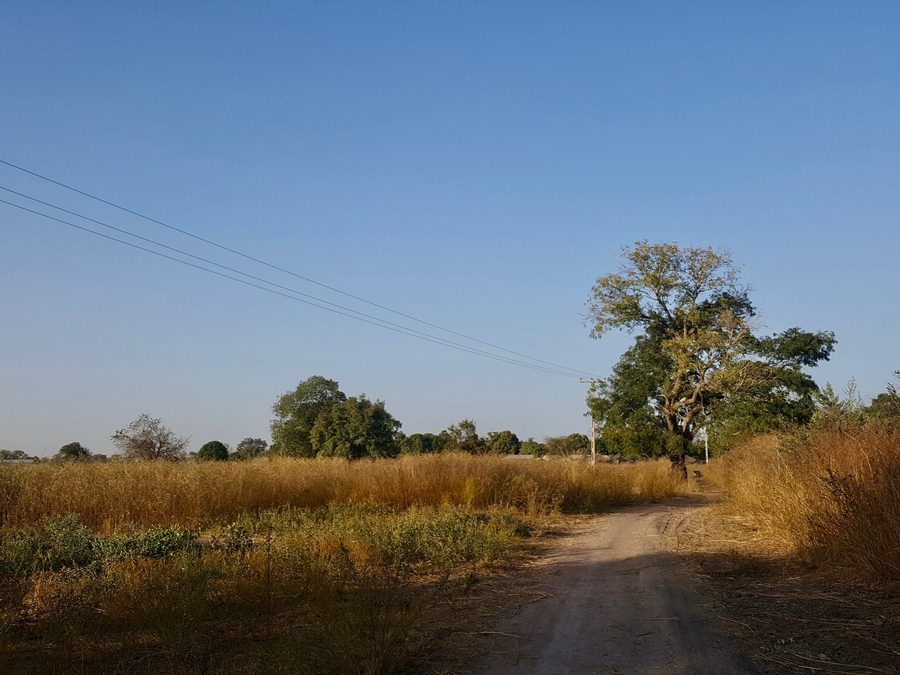 Landscape in Lower River, Gambia