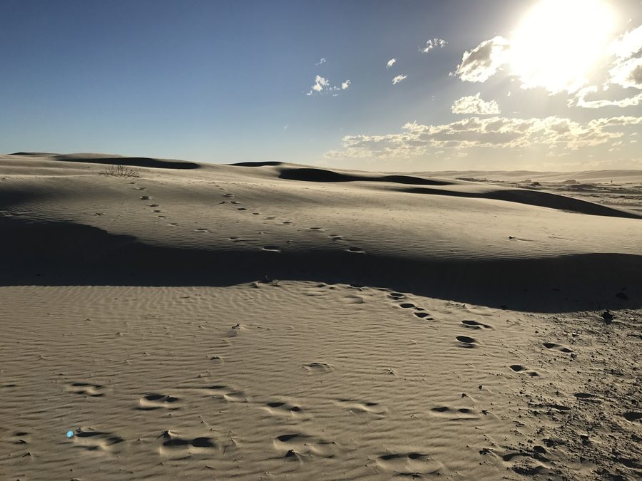 Sand dunes near Anna Bay close to Port Stephens in New South Wales