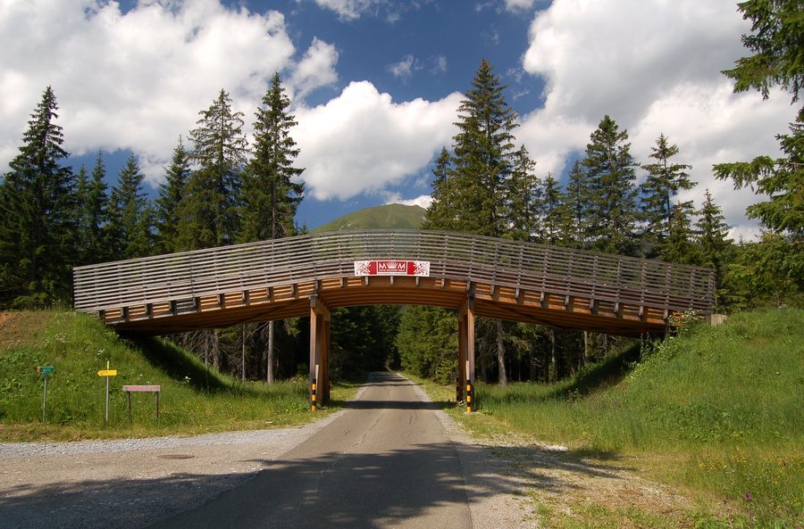 Cross-country ski bridge in the winter landscape of Hohentauern