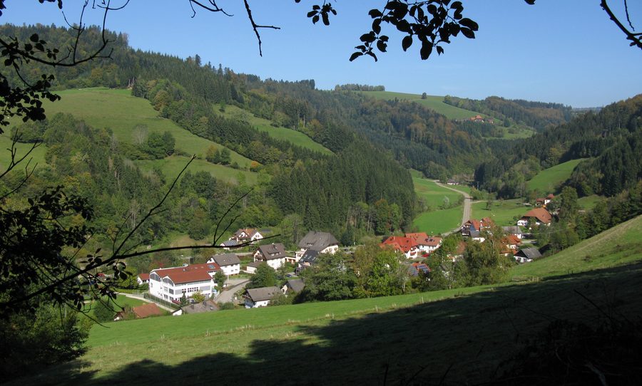 Blick auf Wagensteig im Schwarzwald