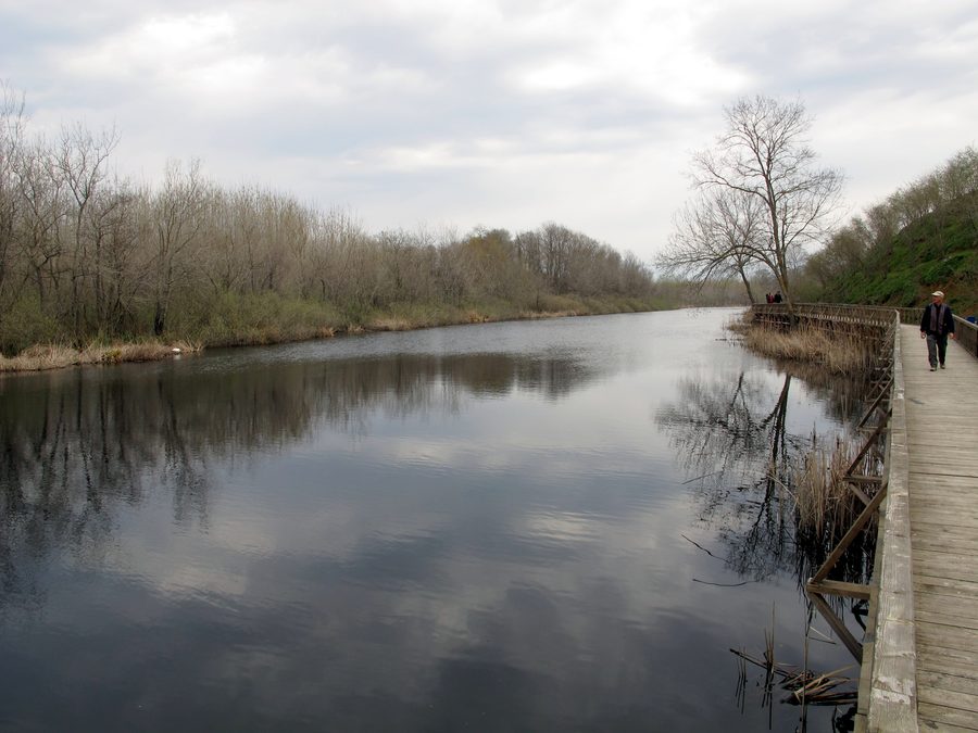 Acarlar floodplain forest near Karasu in Sakarya