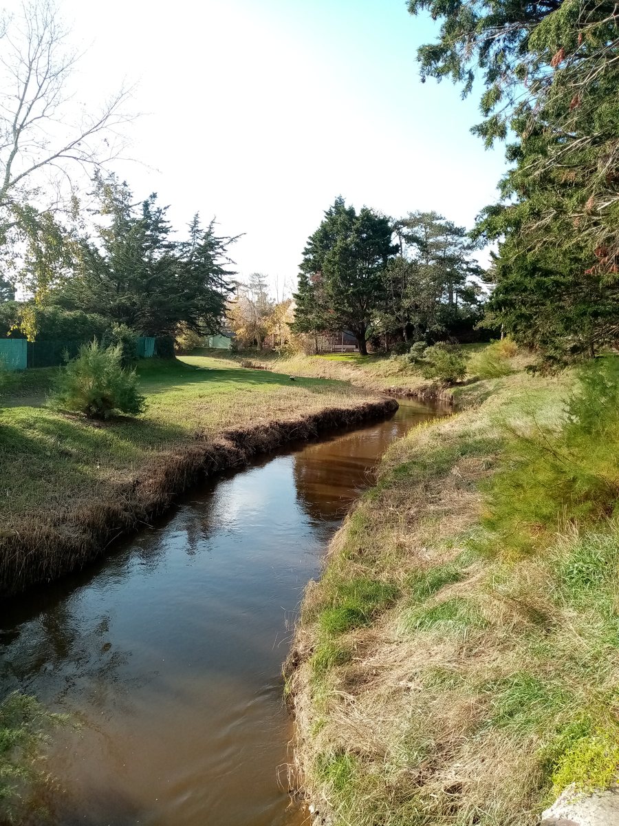 File:Le Thar à Kairon (commune de Saint Pair sur mer).jpg