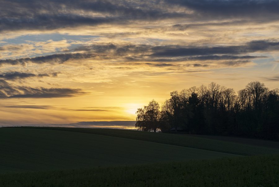 Waldrand bei einer Schutzhütte im Dornet in Untereisesheim kurz vor Sonnenuntergang