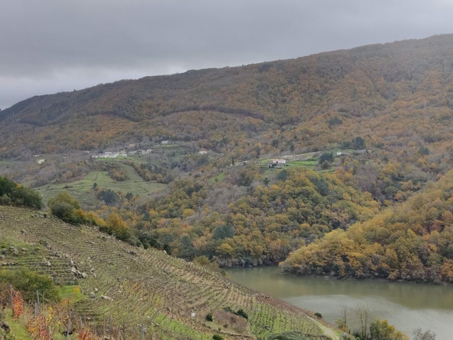 File:Calvos y O Val Parada de Sil 2023.jpg