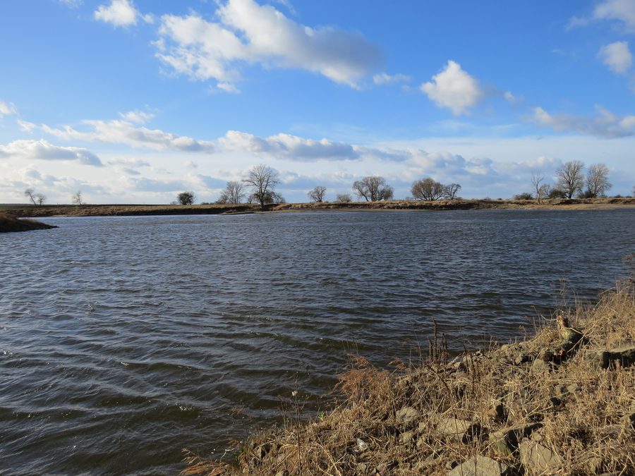 The Elbe near Prettin