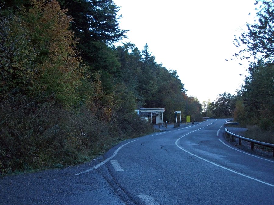 File:D 954 - Le Sauze-du-Lac LDC Route vers Barcelonnette 2014-10-18.JPG