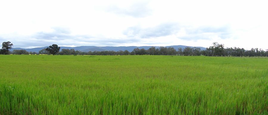 View of the Pyrenees Ranges near Avoca in Victoria