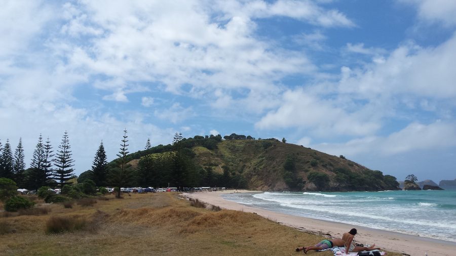 View from the middle of the beach looking north over Matauri Bay
