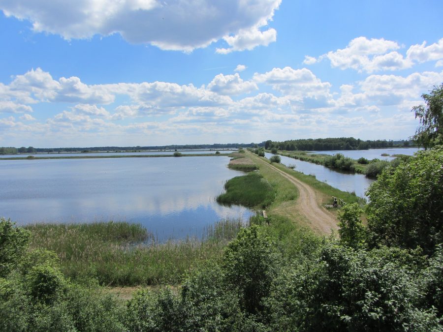 View of the ponds and the Müritz-Elde Waterway in the Lewitz near Neustadt-Glewe