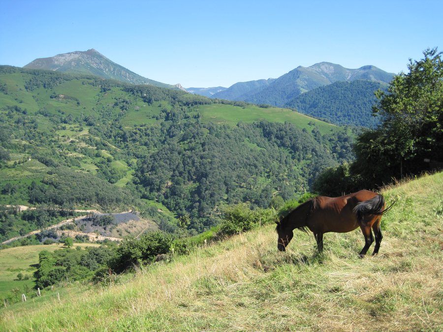 File:Peña Jalon desde Moncó - panoramio.jpg
