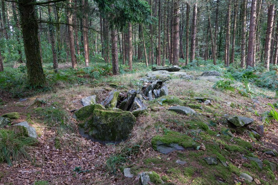File:Dolmen de Corn-er-Houët, Caurel, France.jpg
