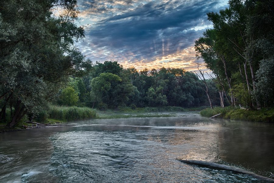 Morning atmosphere in a floodplain