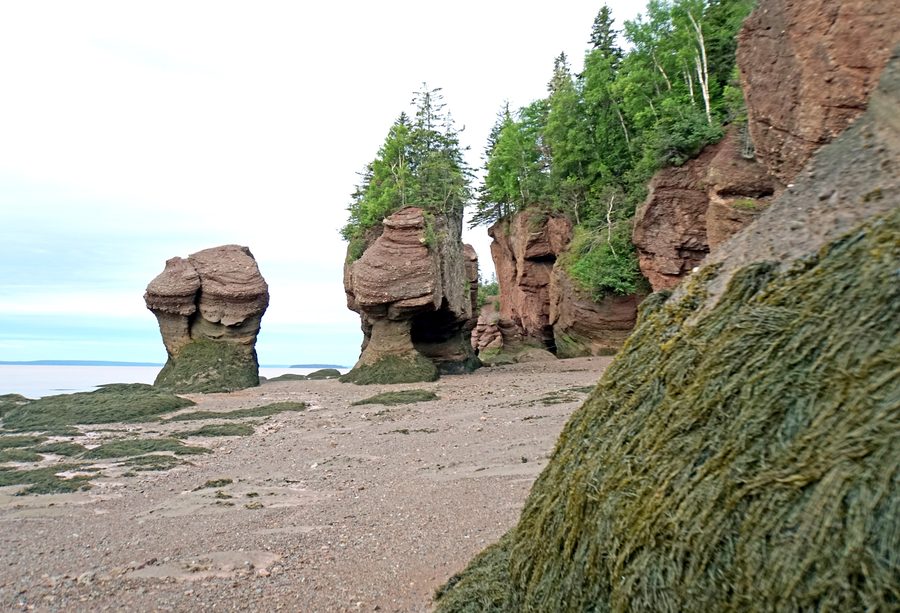 Hopewell Rocks at low tide on the Bay of Fundy