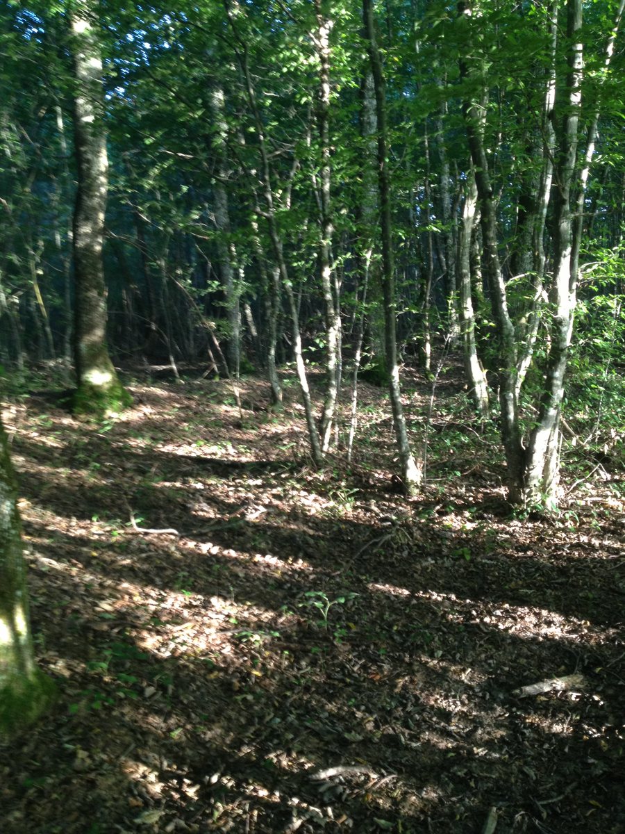 File:74160 Neydens, France - panoramio.jpg